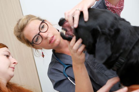 009-consultation-dr-brindeau