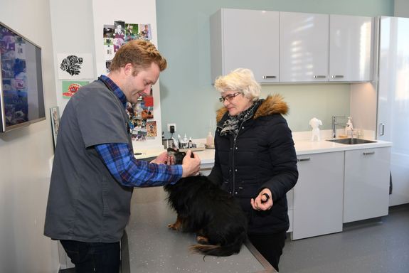 010-consultation-dr-hochart