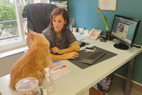 011-consultation-dr-laloi-2022