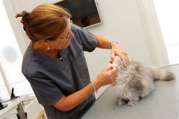 013-consultation-dr-leroux