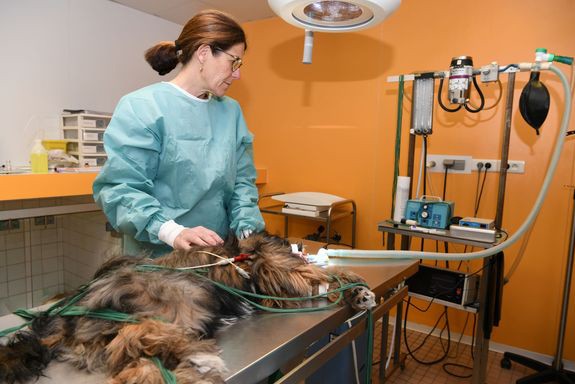 019-anesthesie-gazeuse