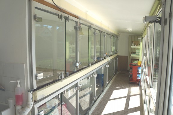 020-box-hospitalisation