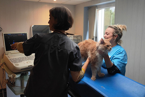 024-echocardiographie-2022