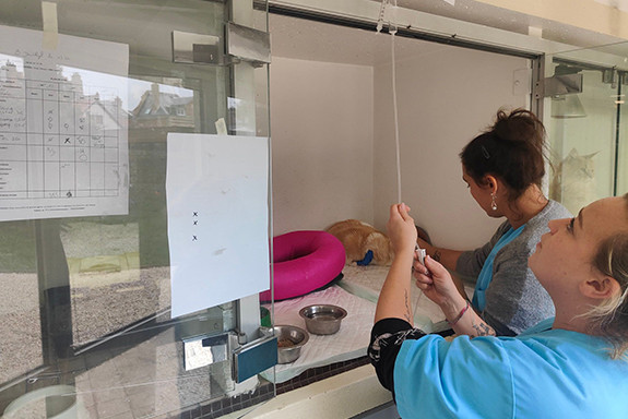 026-soins-en-hospitalisation-2022