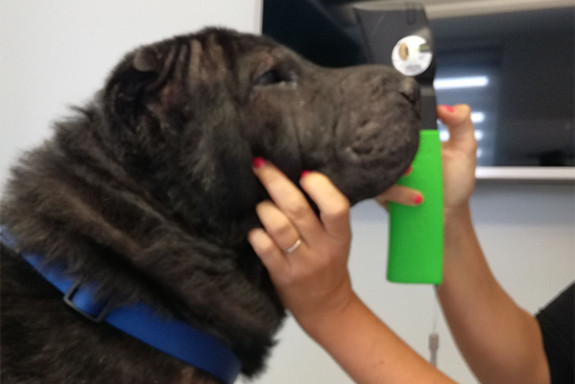 028-ophtalmologie-11-2022