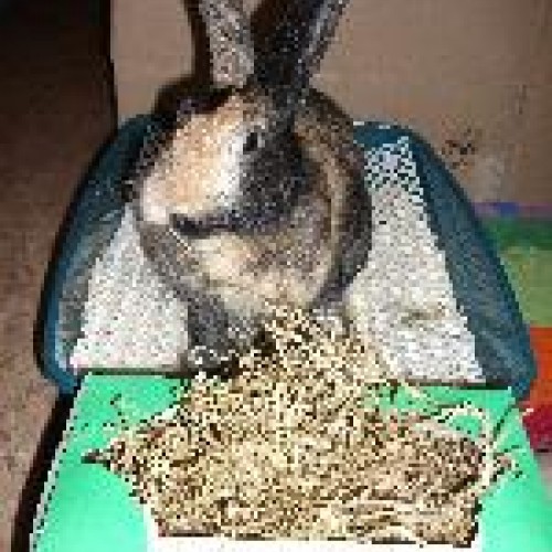 014_heudebourg_sushi