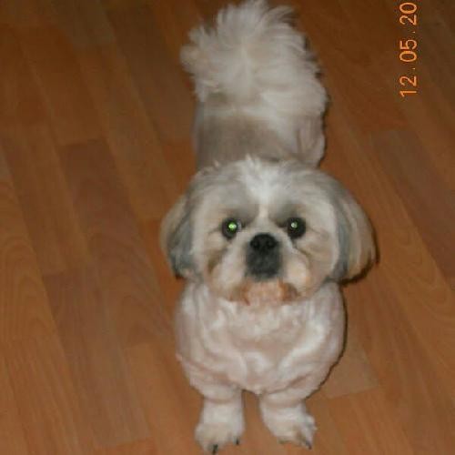 023_pronost_ptit_Fremin